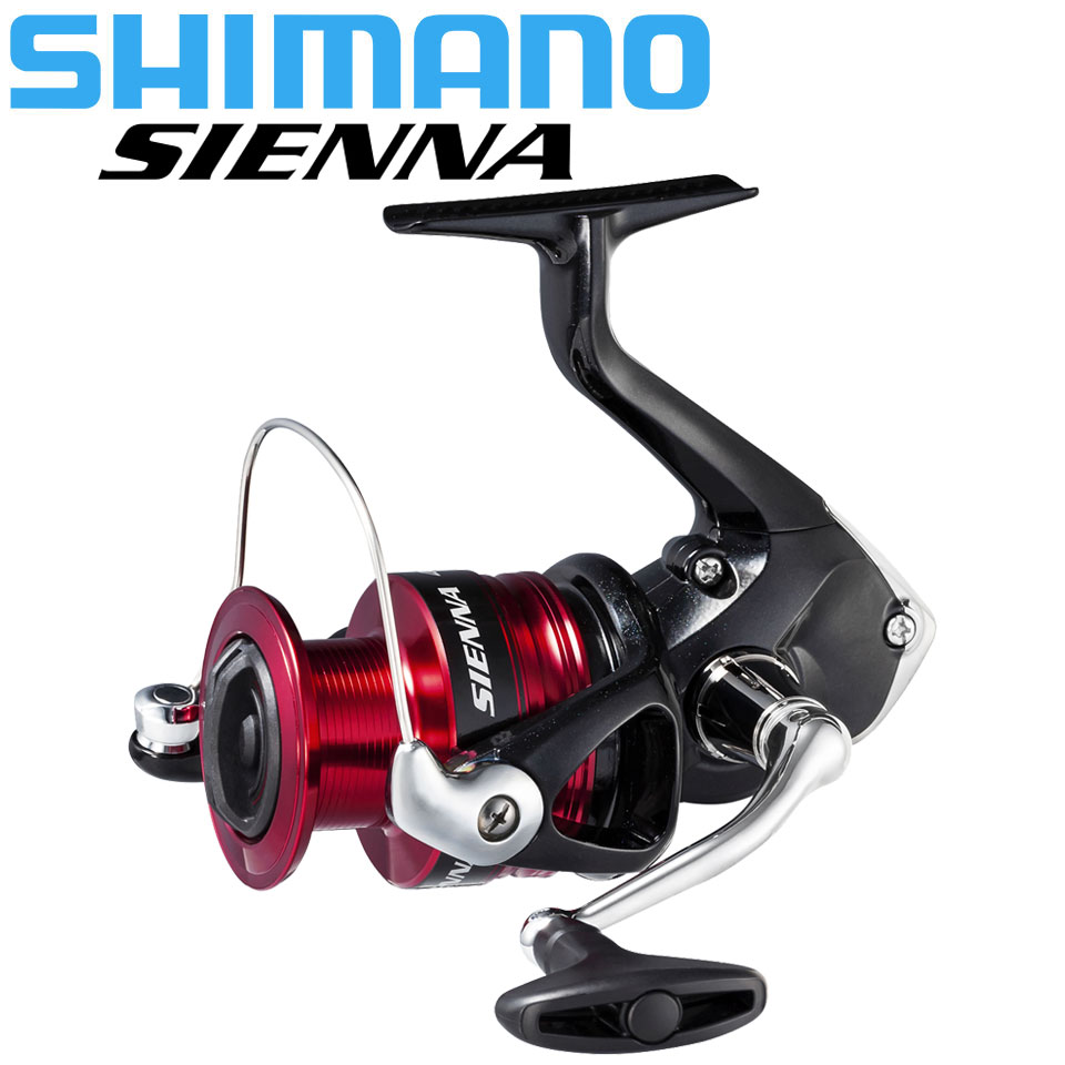 Shimano sienna molinete de pes - Daiwa Reel Bg avaliação e preço